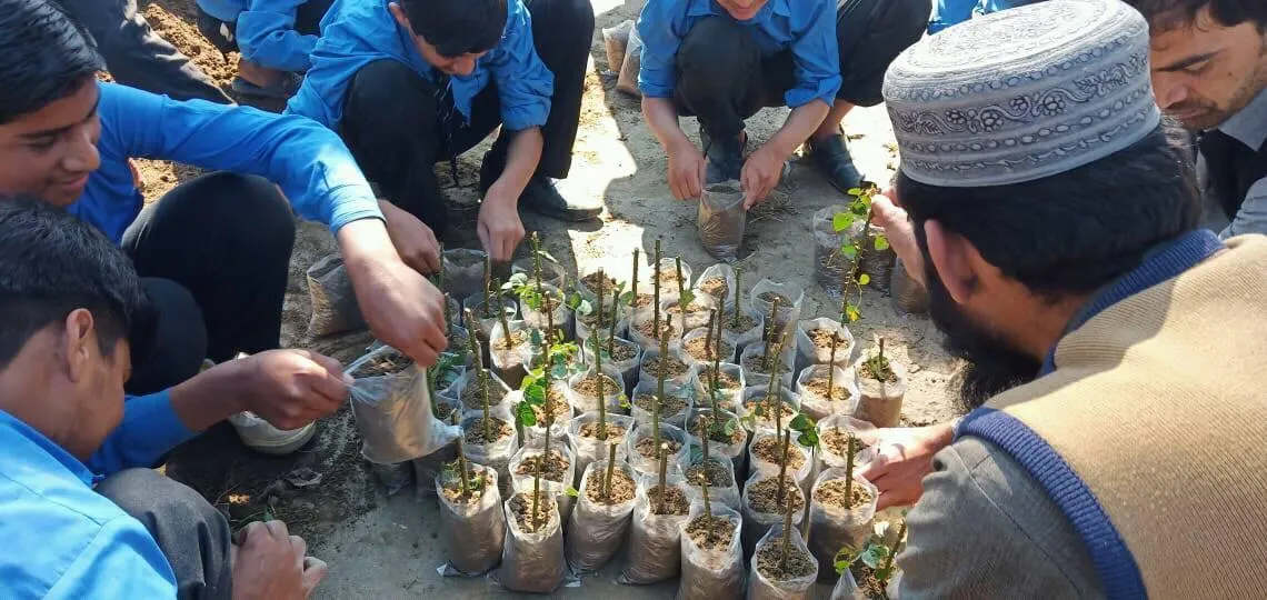 Green Seekers Activity